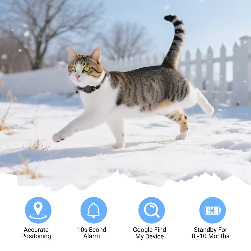 Collar localizador Bluetooth negro con colgante, en gato atigrado sobre nieve